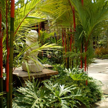 Plumeria tropical garden