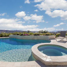Freeform Pool