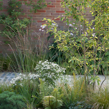 Hertfordshire country garden