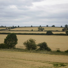 photographs for a n office