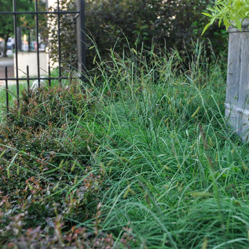 Urban Prairie- German Village