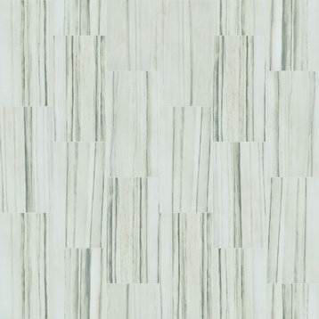 Shaw CS34W Range - 12" x 24" Rectangle Floor Tile - Matte Marble - Zebrino
