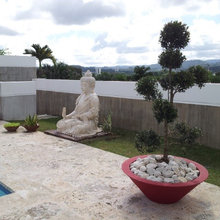 Buddha