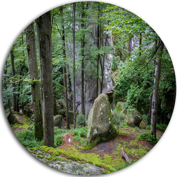 Dense Moss Forest In Green, Landscape Disc Metal Wall Art, 23"