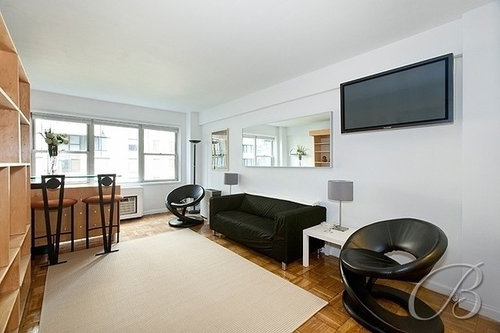 Studio Apt Accent Wall Ideas Look Forward