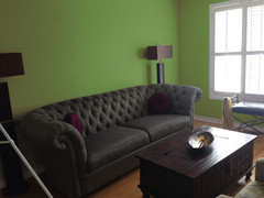 Paint for walls in living room