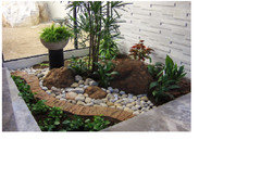 vorrei realizzare un giardino interno con piante grasse tra le pietre