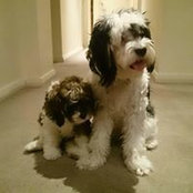 Kathie Crump's photo