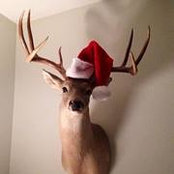 Brooke Testerman's photo
