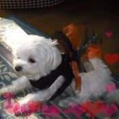 Gail Zeolla's photo