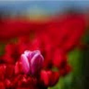 Carmina Edwards's photo