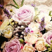 Ciara Jamieson's photo