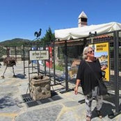 Photo de Heidi Habel