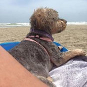 Dorothy Duhon's photo
