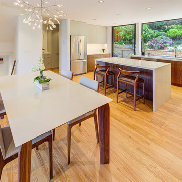 Kitchen and Dining Room