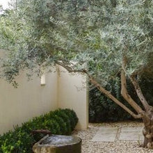 Mediterranean garden images, inspriations