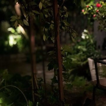 Aménagement paysager d'un jardin au coeur de Malakoff...
