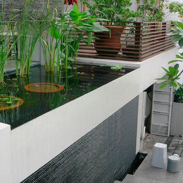Modern Tropical House