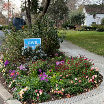 Prominent Palo Alto Corner Now colorful