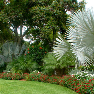 Front Yard/Back Yard/Pool Landscapes