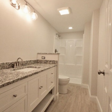 Basement Remodel