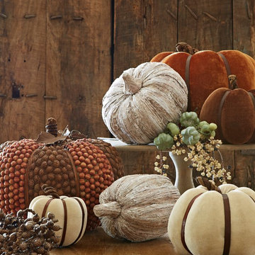 Pumpkin Patch