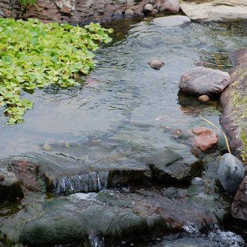 Water Features