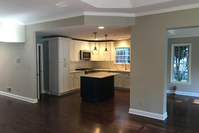 Kitchen renovation