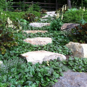 Natural Stone Path with Groundcover