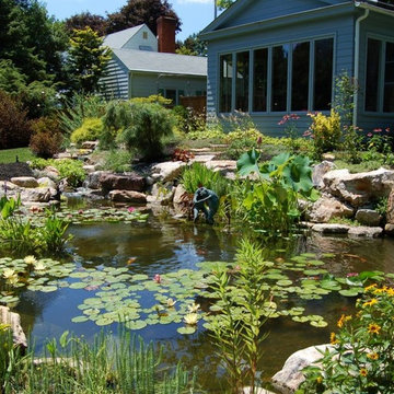 Ponds & Waterfalls