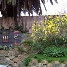 Kid Friendly Yard