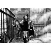 Vanessa Shellows foto