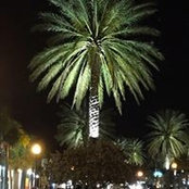 Steve Nickell's photo