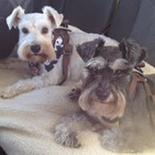 Rebecca Nebera's photo