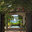Architect Michael L. Oxman & Associates