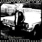 Javier Medina's photo