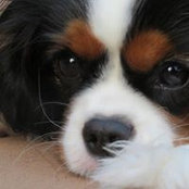 Dana Moore's photo
