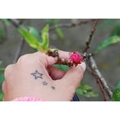 Mai Phan's photo