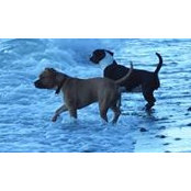 Ginny Wilken's photo