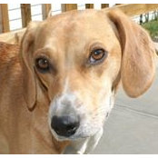 Susan Wise's photo