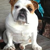 Marnie Race's photo