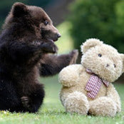 Heather Johnson's photo