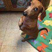Judy Healy's photo