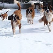Paige McCune's photo