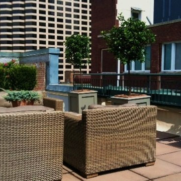 Penthouse Terrace Downtown New Orleans