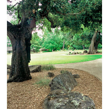 Sunset gardens' 50th anniversary remodel
