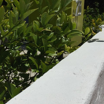 encinitas #5