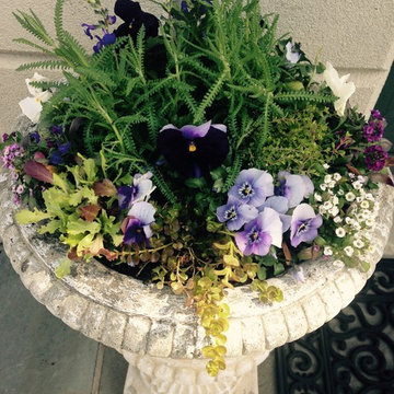 Container Gardens
