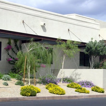 plants