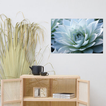 Room Decor with Posters: Botanical Rhapsody Succulent Photorealism Painting